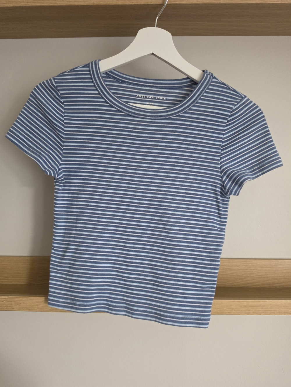 American Eagle Outfitters Blue and White Striped Crewneck Tee